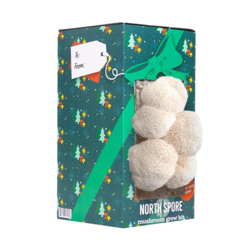 Organic 'Spray & Grow' Holiday Gift Wrap Mushroom Growing Kit